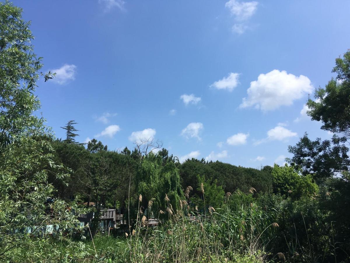 Shila Doert Mevsim Tatil Koyu Hotel Ağva Buitenkant foto