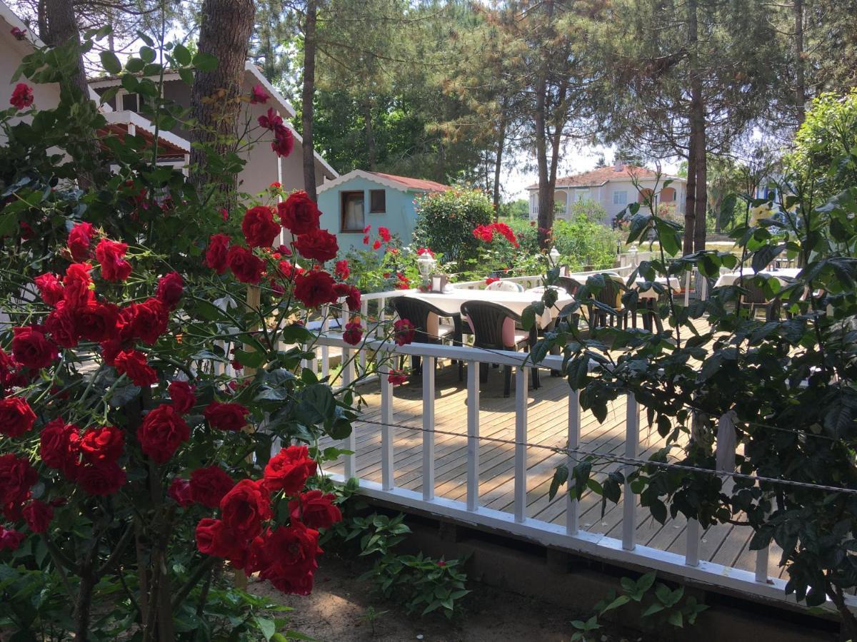 Shila Doert Mevsim Tatil Koyu Hotel Ağva Buitenkant foto