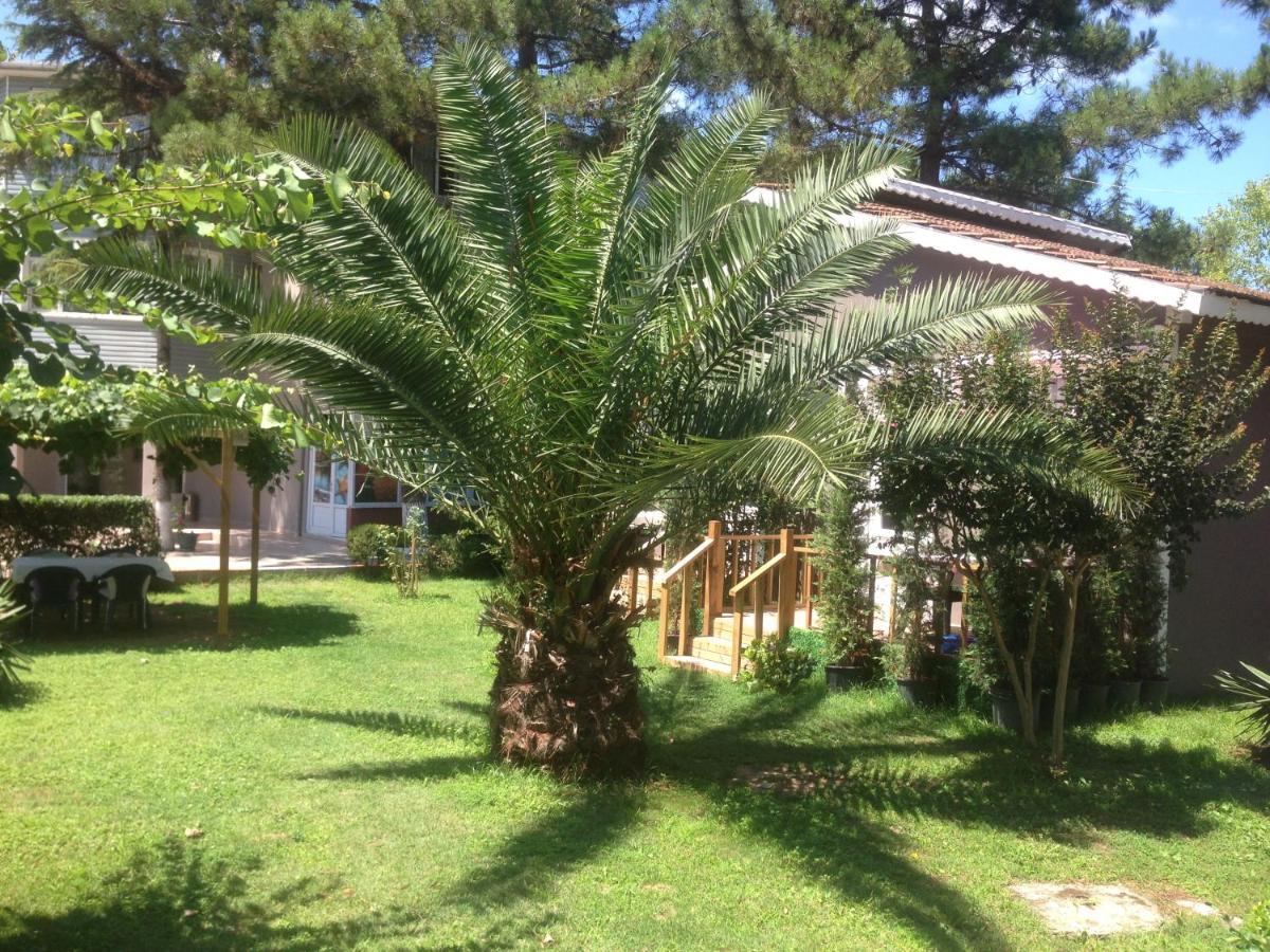 Shila Doert Mevsim Tatil Koyu Hotel Ağva Buitenkant foto